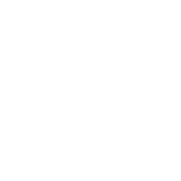 Chương trình huấn luyện kỹ năng an toàn thông tin thực chiến cho kỹ sư mạng