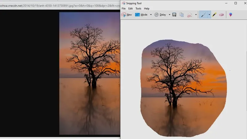 Ảnh sau khi chụp được chuyển trực tiếp vào trình biên tập tích hợp