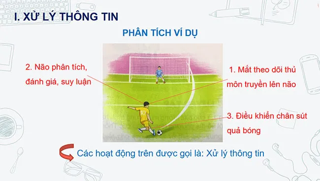 Ví dụ ứng dụng xử lý thông tin trong Tin học 6