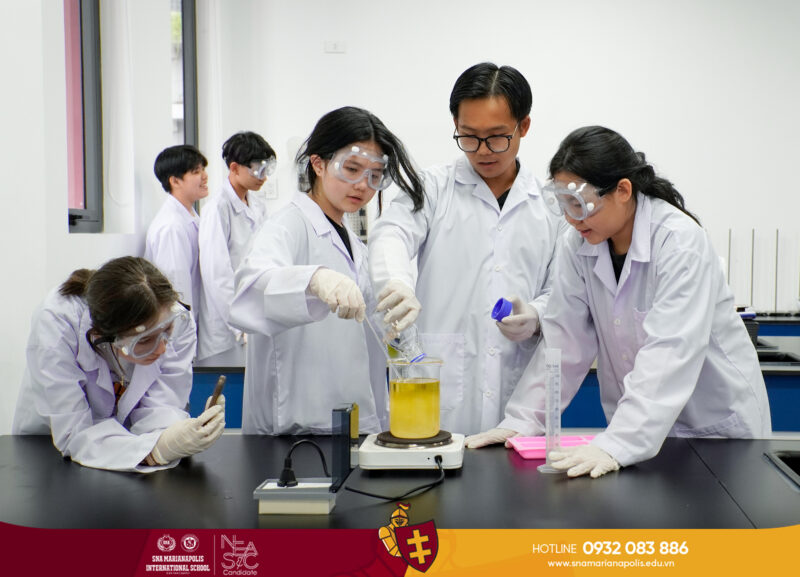 công ty cổ phần tin học lạc việt Tuyển Dụng Nhân Tài 2024